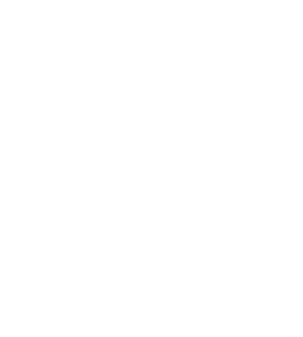 АВЕНЮ на Карповке